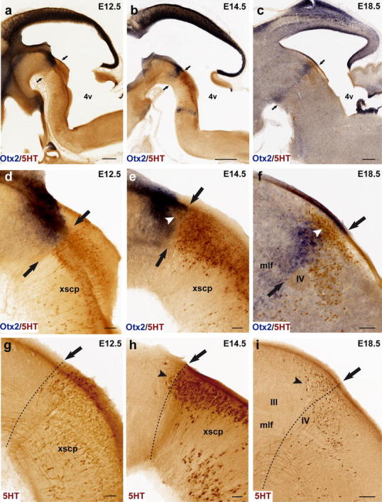 Fig. 4