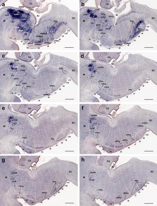 Fig. 3