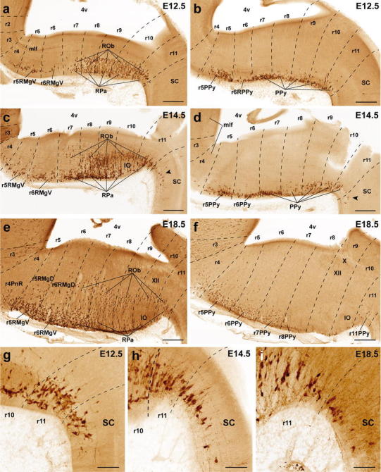 Fig. 6