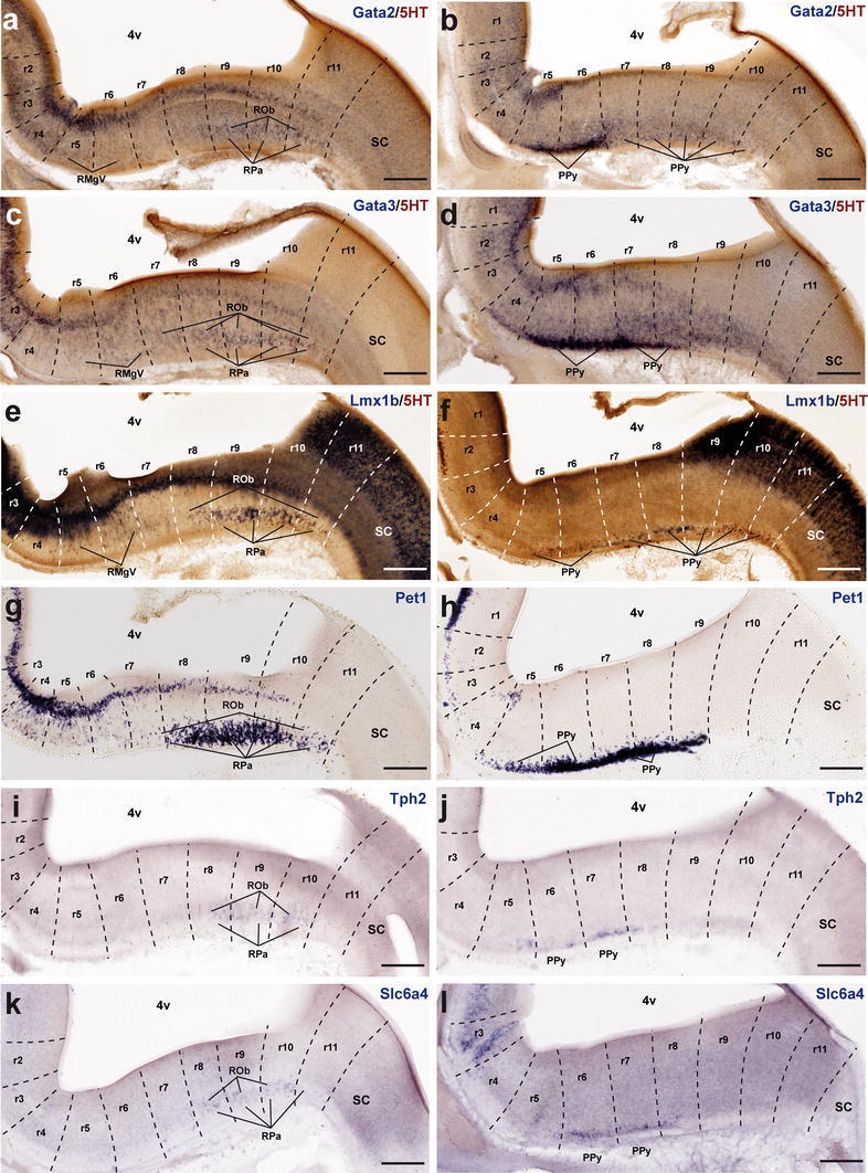 Fig. 10