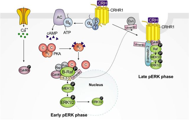 Figure 10.