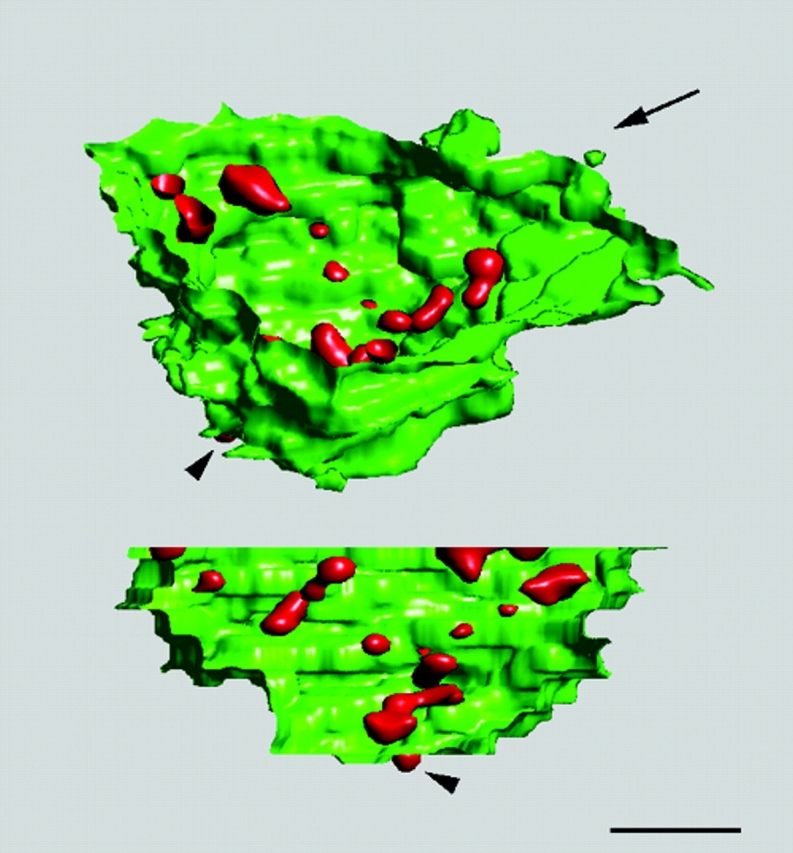 Figure 5.