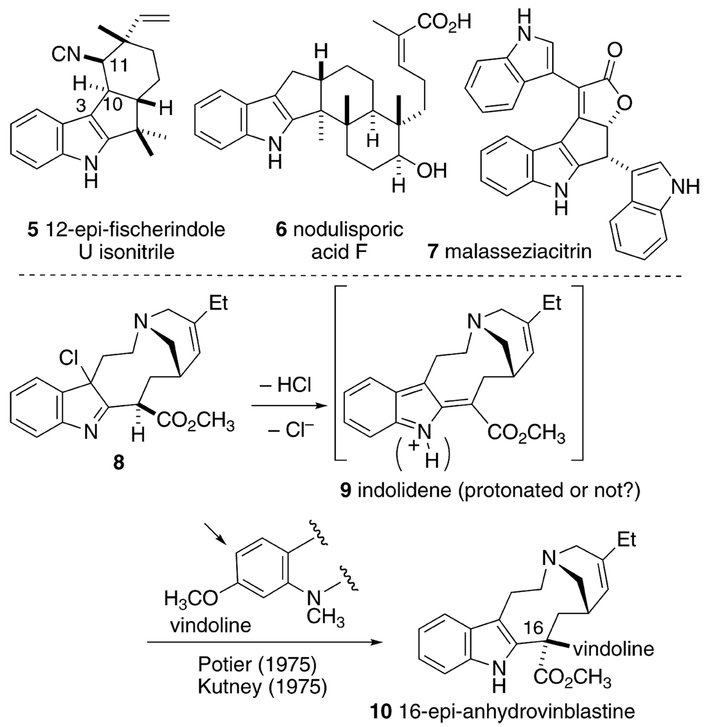 SCHEME 2