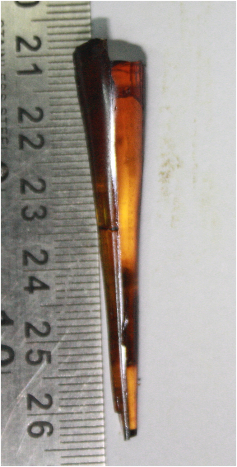 Fig. 6
