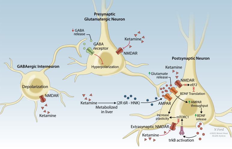 Fig. (7)