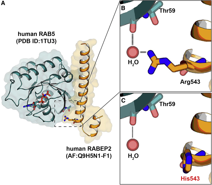 Figure 4