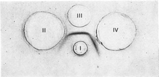 PLATE 2