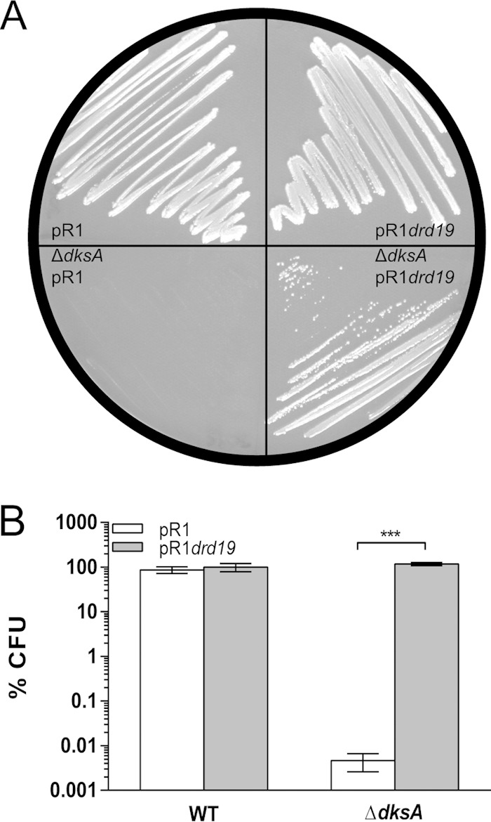 FIG 1