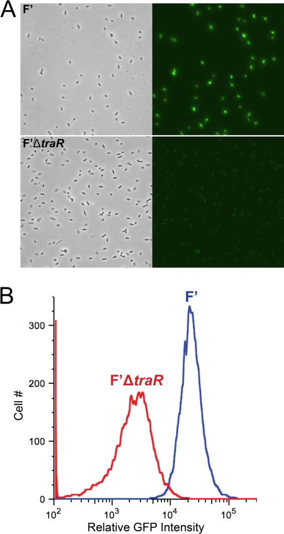 FIG 4