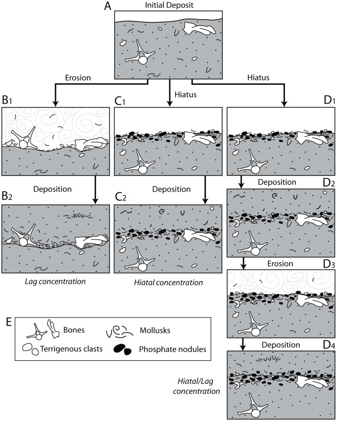 Figure 25