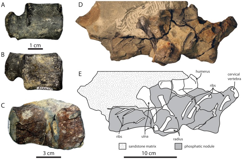 Figure 31