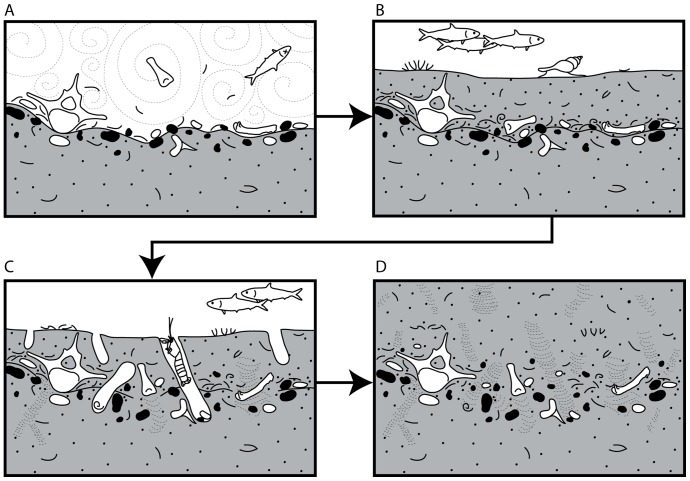 Figure 27