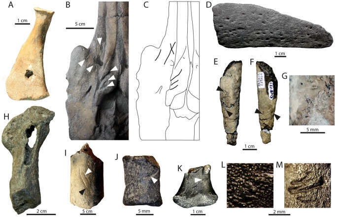 Figure 29