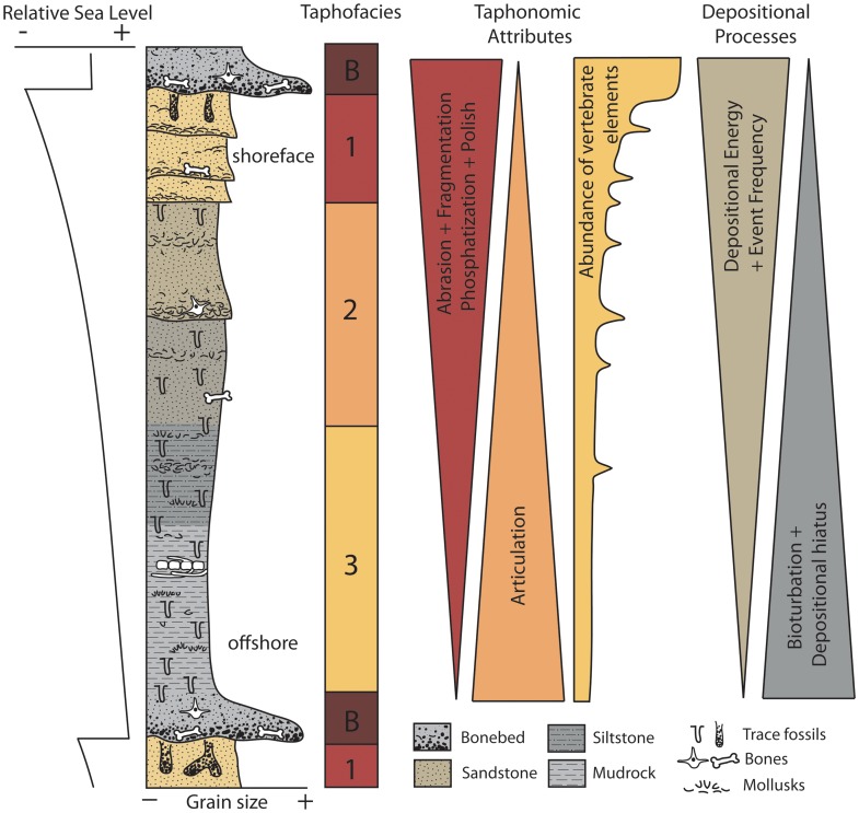 Figure 33