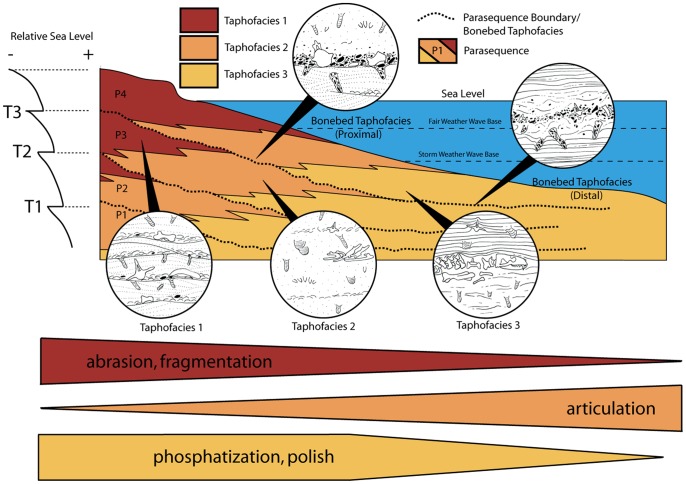 Figure 34