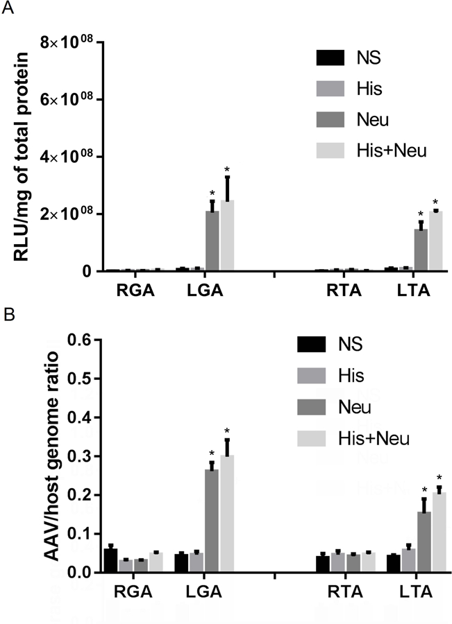 Figure 6: