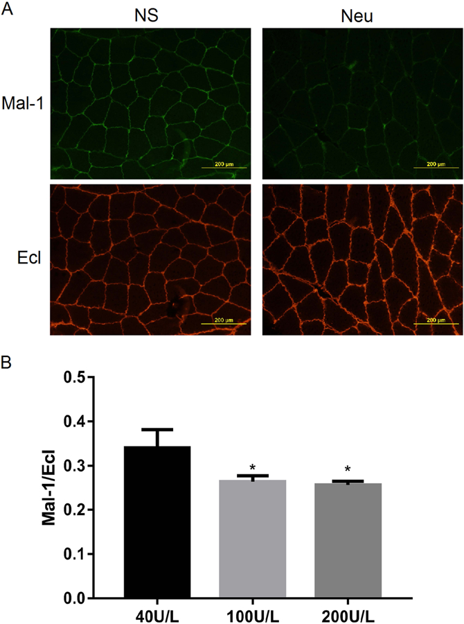 Figure 2: