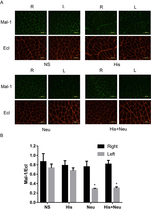 Figure 4: