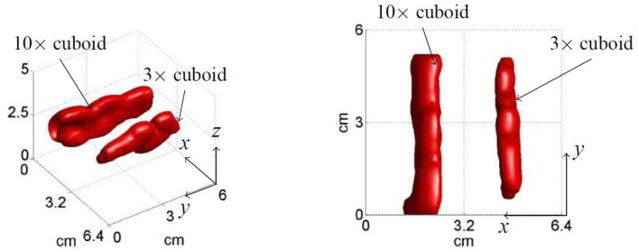 Fig. 10