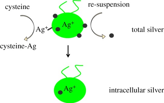 Figure 5.