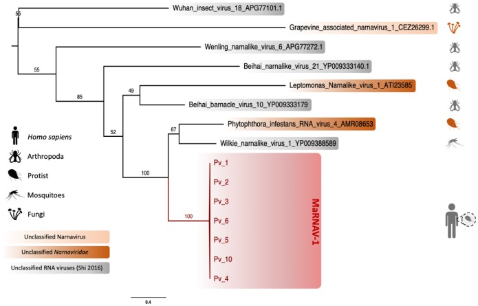 Fig 4