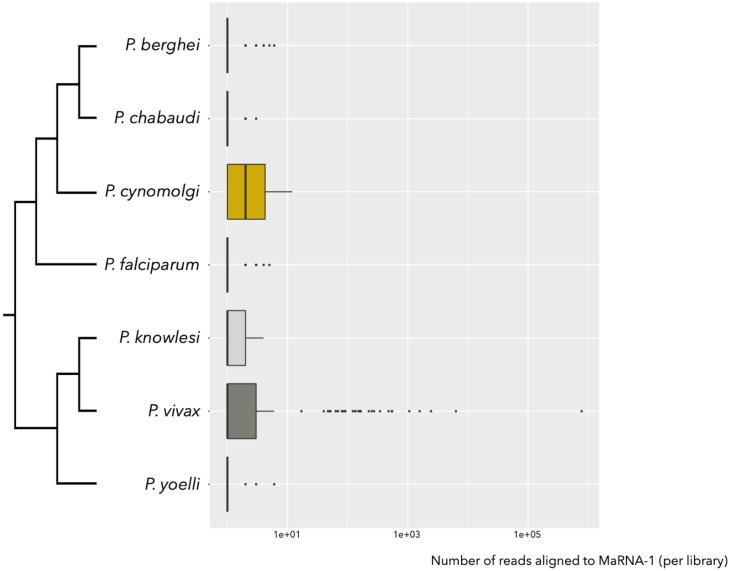 Fig 5