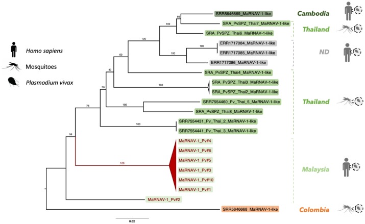 Fig 6