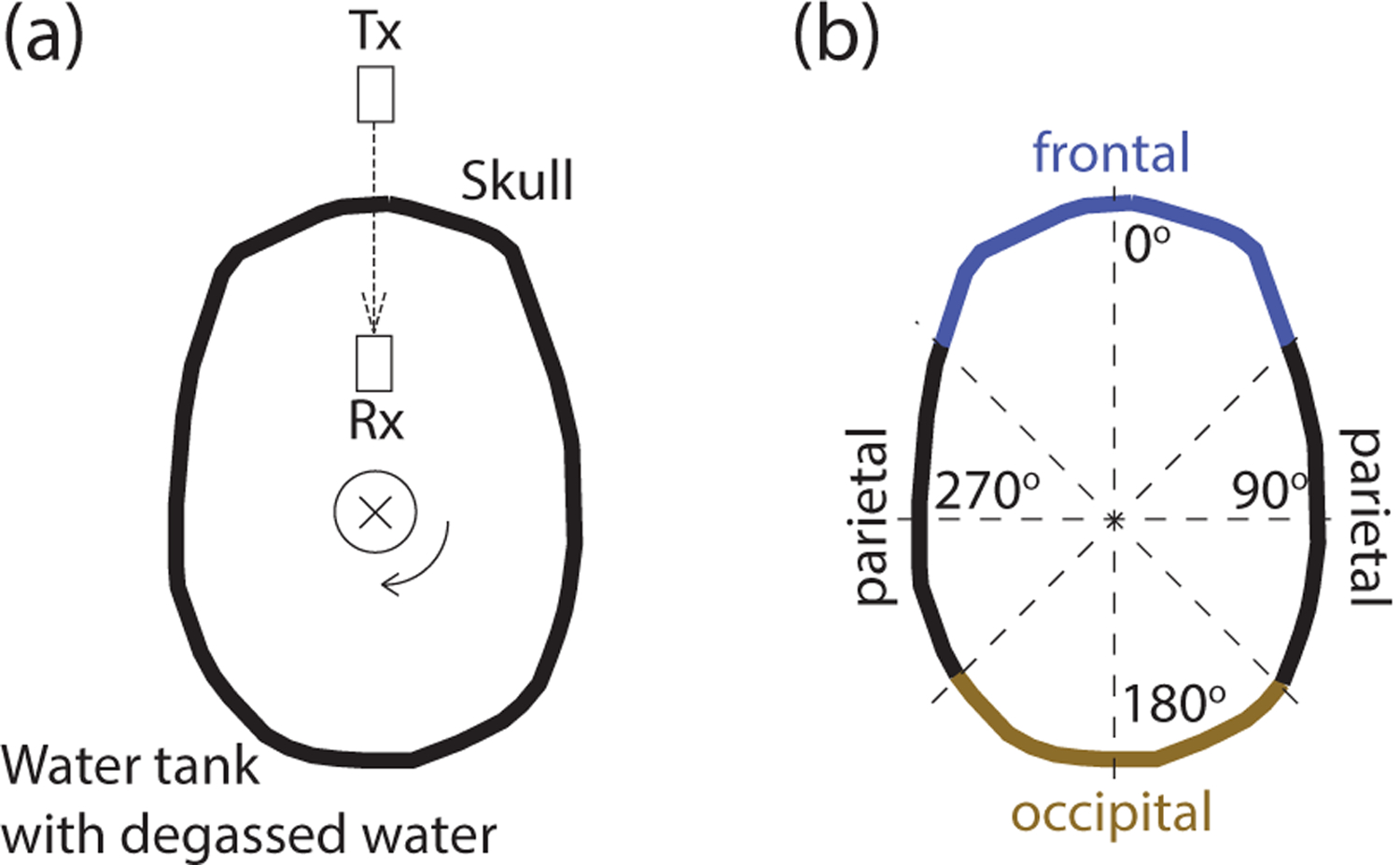 Figure 1: