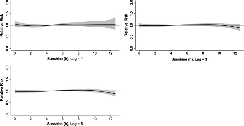 Fig. 10