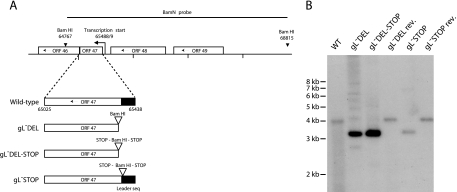 FIG. 2.