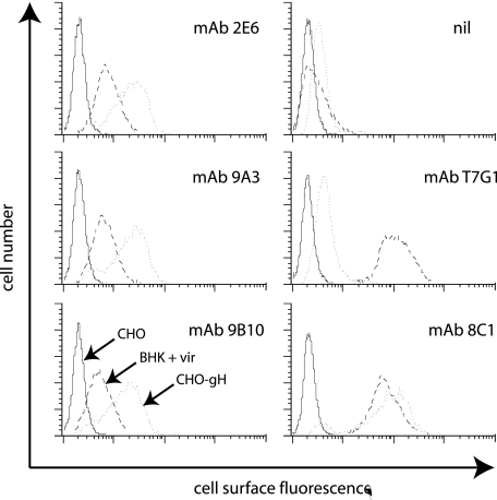 FIG. 1.