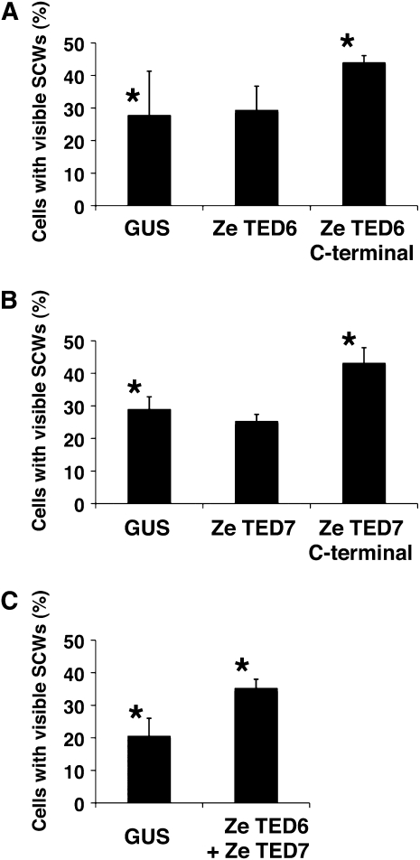 Figure 3.