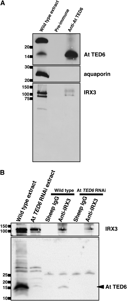 Figure 6.