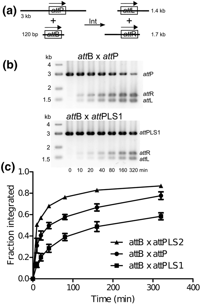 Figure 6.