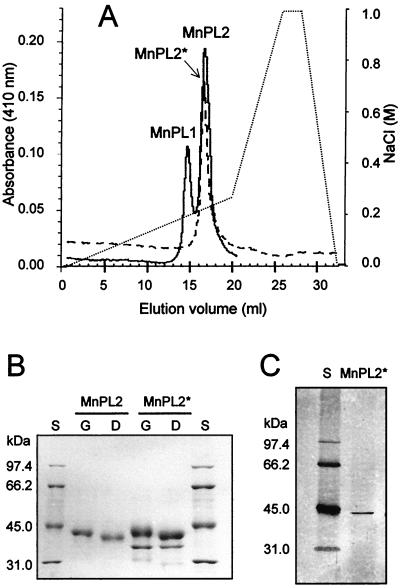 FIG. 1