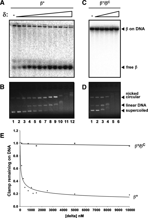 Figure 9.