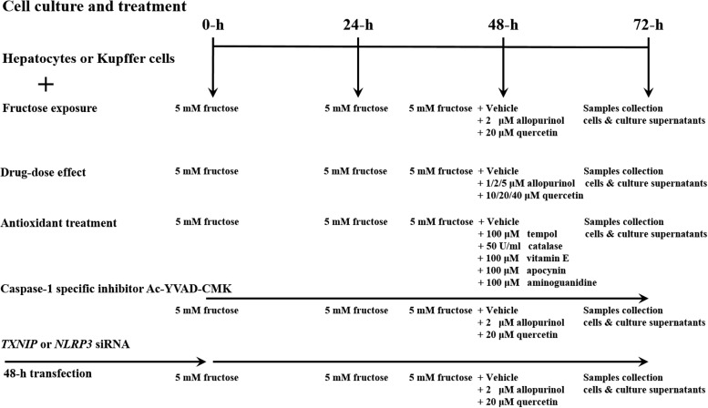 FIG. 11.