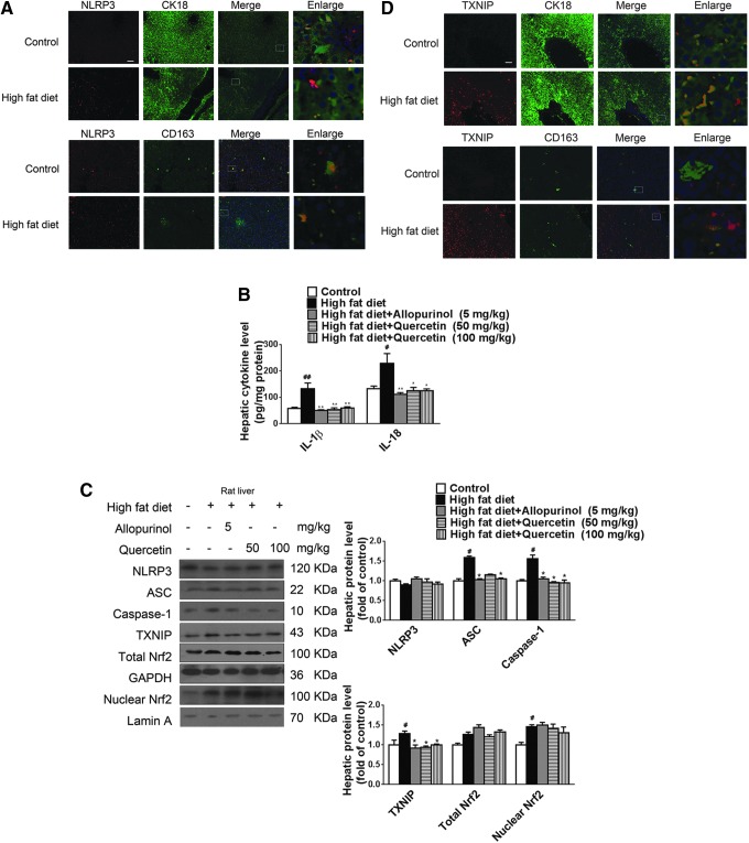 FIG. 9.