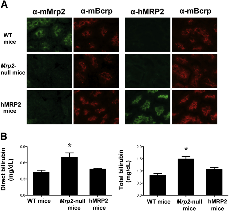 Figure 6