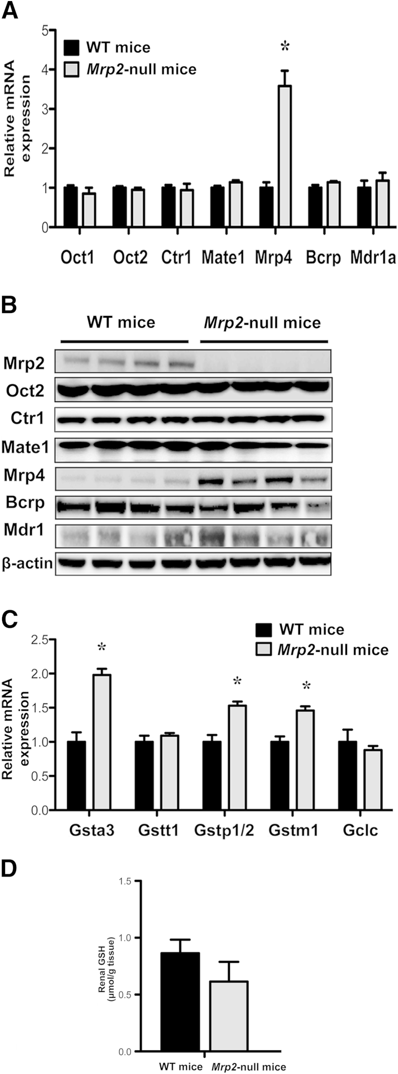 Figure 5