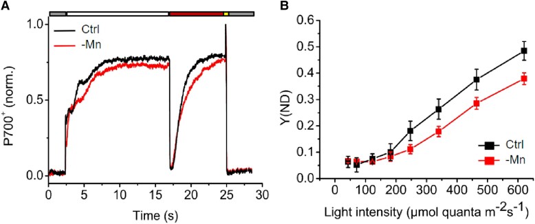 Figure 7.