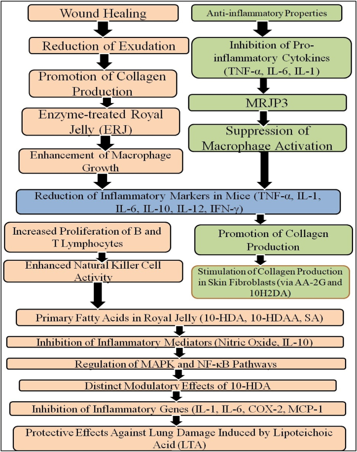 Fig. 8