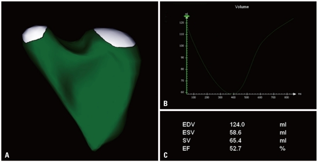 Fig. 12