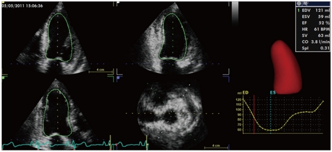 Fig. 7