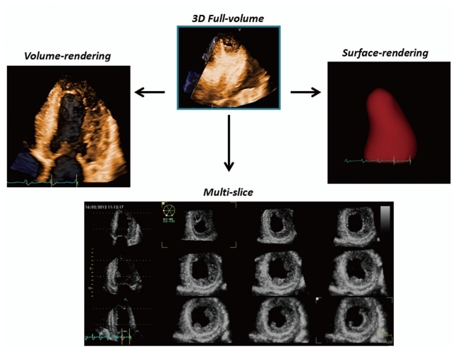 Fig. 3