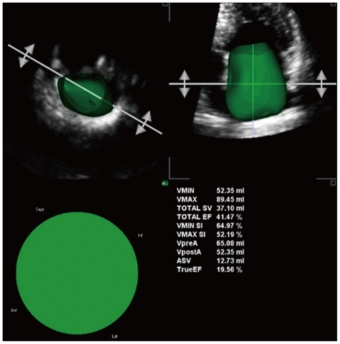 Fig. 19