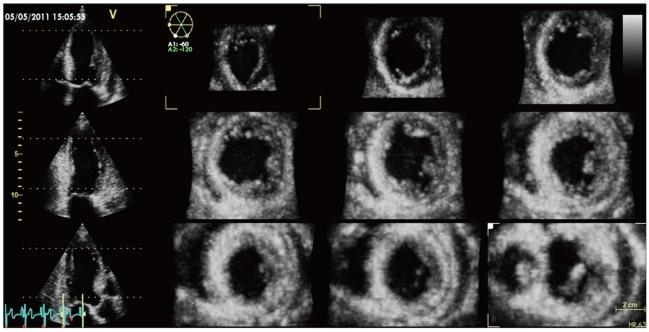 Fig. 6