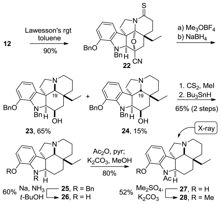 Scheme 5