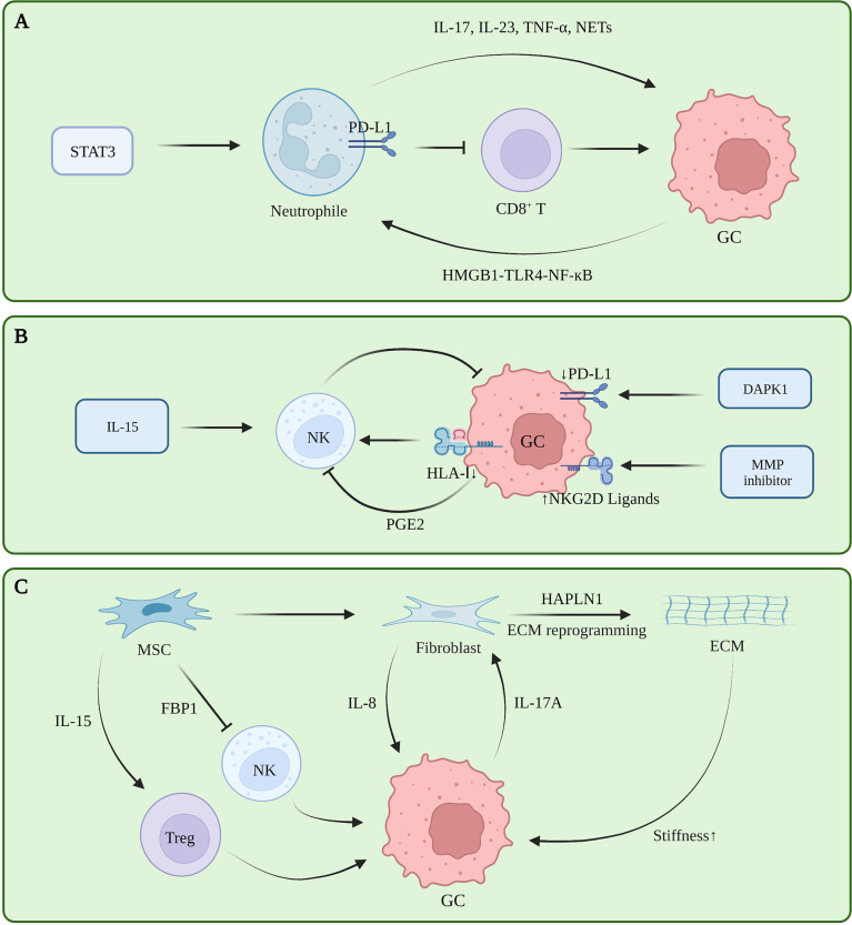 Figure 2