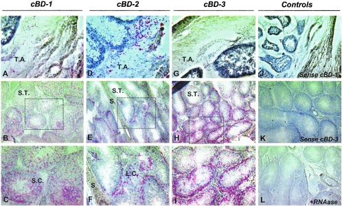 FIG. 6.